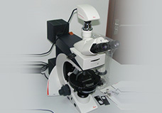 德國(guó)高精度偏光顯微鏡